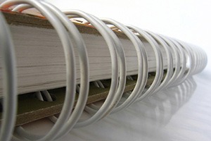 Annual Report 2024